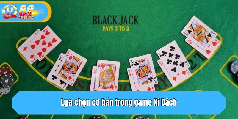Lựa chọn cơ bản trong game Xì Dách