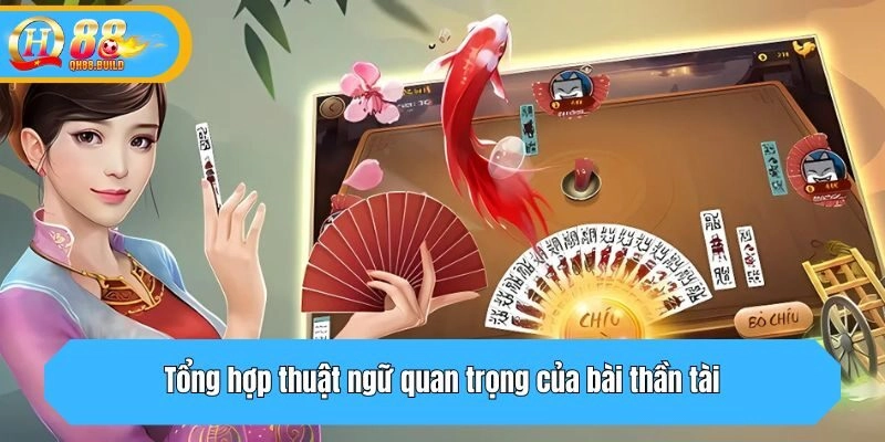 Tổng hợp thuật ngữ quan trọng của bài thần tài