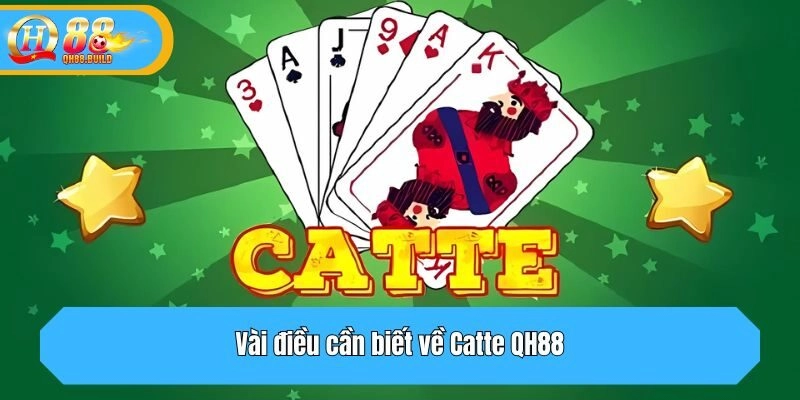Vài điều cần biết về Catte QH88